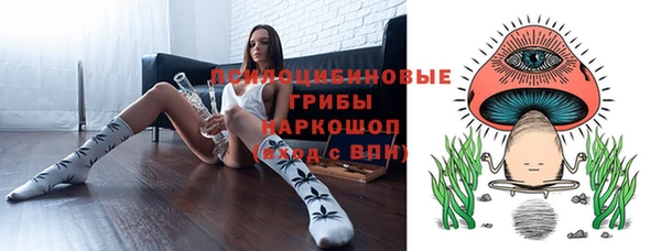 дживик Медногорск