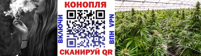 Шишки марихуана план  мега ссылки  Олонец 